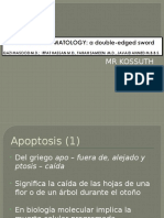 Apoptosis