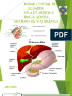 Anatomía y fisiología de las vías biliares