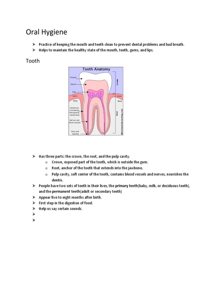 Oral Hygiene and Dental Health Basics | PDF | Wellness
