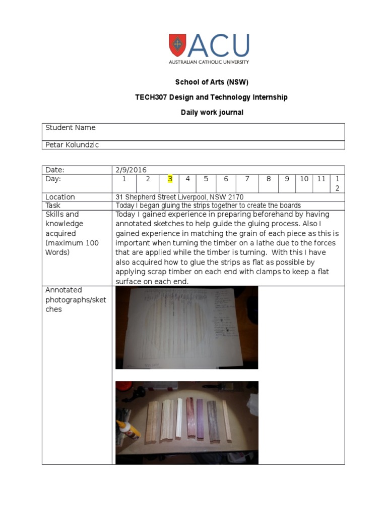 Design Internship Daily Journal Entry | PDF | Home & Garden