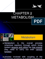 CHAPTER 3 Metabolite 1