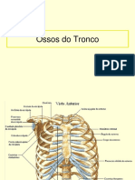 Acidentes Ósseos Do Tronco