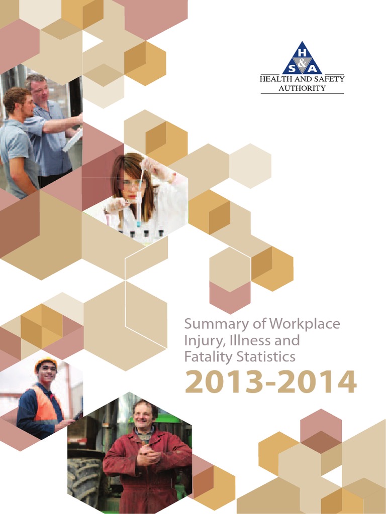 HSA Statistics Report 2013-2014 | PDF | Occupational Safety And Health ...