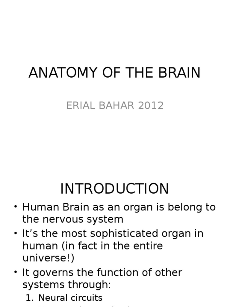 Anatomy of The Brain - 2012 | PDF | Spinal Cord | Nervous System