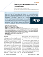 Immuno Pathology