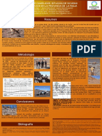 Poster Congreso Camelidos 2015