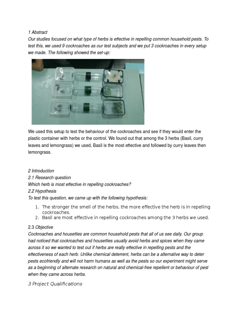 Insect Repellent Experiment PDF Basil Experiment