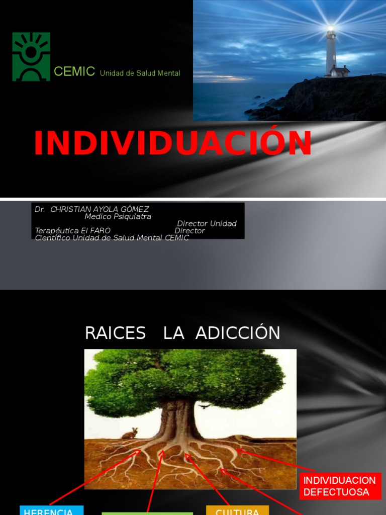 Individuación Conceptos psicologicos Psicología