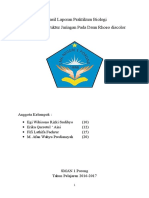 Pengamatan Proses Transformasi Pada Tanaman