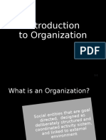 Introduction To Organization