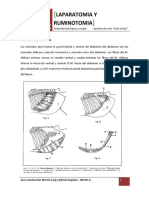 Laparatomia y ruminotomia.pdf