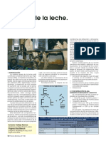 Lipolisis PDF