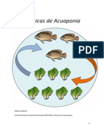 Técnicas de Acuaponia