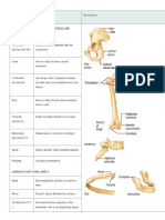 Human - Anatomy Ch-06 Assembled