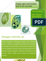 Bioremediasi Logam Berat oleh Chlorella sp