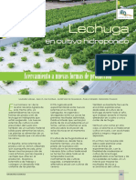 LechugaenHidroponia.pdf