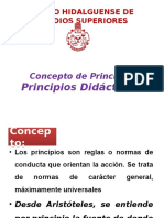 PRINCIPIOS DIDACTICOS[1]