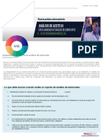 Noria MX PDF