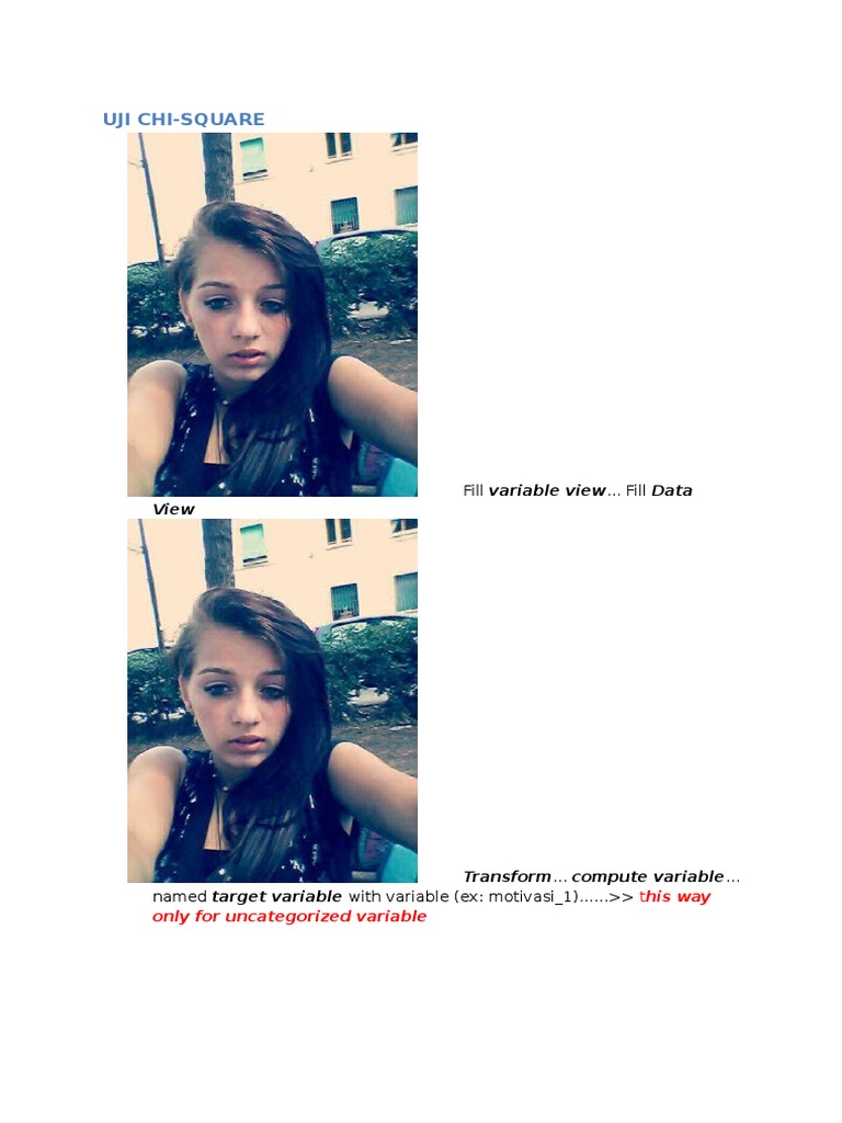 Langkah Langkah Uji Chi Square Pdf Mean Skewness