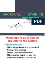 Stainingbacteria 101004225924 Phpapp02