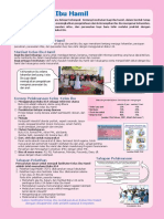Information Sheet Kelas Ibu Hamil PDF