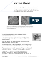 Coronavirus, Rotavirus, Akabane Bovino