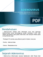 Adenovirus Kelompok 14