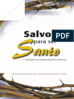 SalvoParaSerSanto.pdf