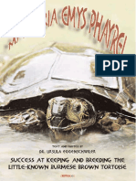 burmese brown tortoise.pdf