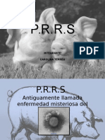 PRRS