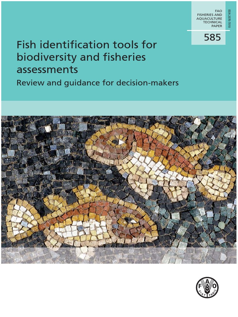 Fish Identification Tools For Biodiversity and Fisheries Assessments ...