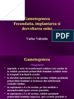 Gametogeneza