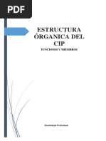 Estructura Orgánica Del CIP