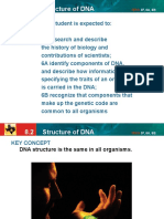 04  dna structure notes