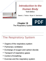 PNA 200 Week 1&2 Respiratory Teacher