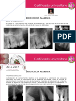 Endodonciavanzada6 17