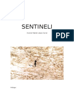 Sentinel i