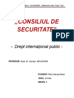 ,,consiliul de Securitate": - Drept Interna Ional Public - Ț
