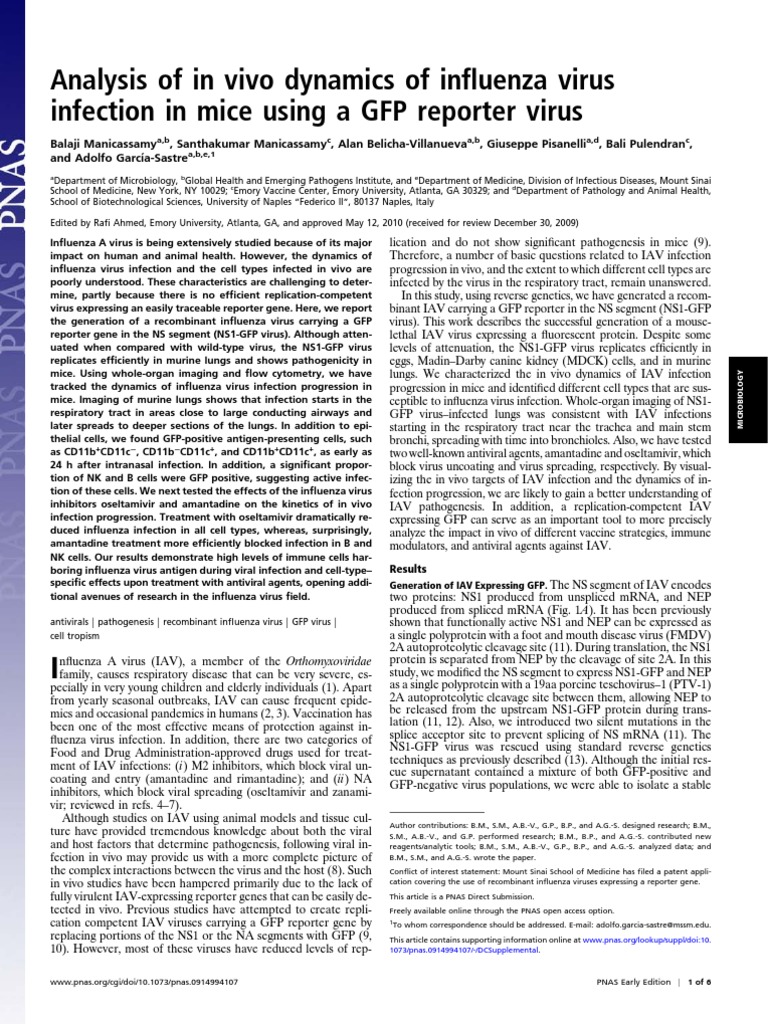 In Vivo Dynamics of Influenza in Mice | PDF | Antiviral Drug | Virus