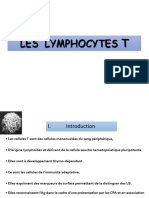 Lymphocyte T