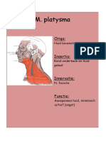 Myologie Hoofd en Hals