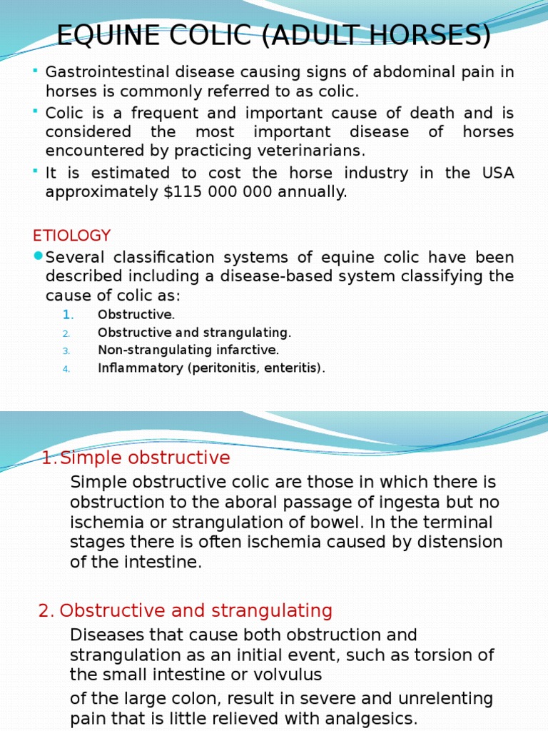 bowel colic in adults