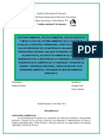 TRABAJO AUDITORIA AMBIENTAL.docx