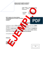 Formato Carta Aceptacion