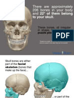 Skull Bones 030515