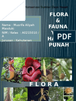 Flora Dan Fauna Yang Hampir Punah 