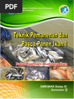 Download 23 Teknik Pemanenan Dan Pasca Panen Ikan 1 Xi 3 by chepimanca SN329620915 doc pdf