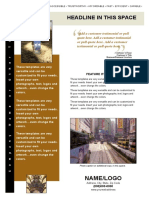 Flyer Professional A4