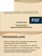 Sindroma Nefrotik