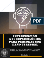 intervencionen dañocerebral1.pdf